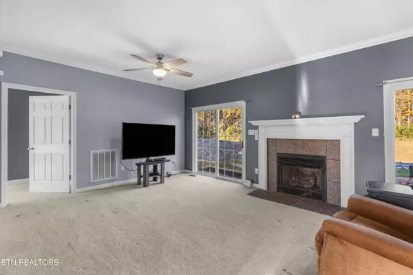 6415 Old Snapps Ferry Rd, Limestone, TN 37681