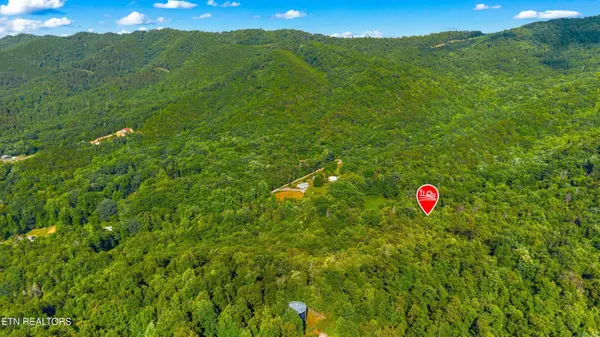 1549 Halls Top Rd, Newport, TN 37821