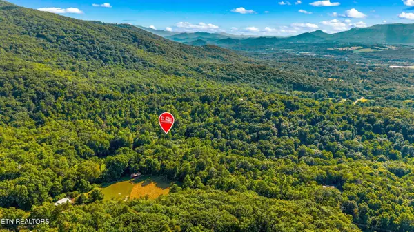 1549 Halls Top Rd, Newport, TN 37821