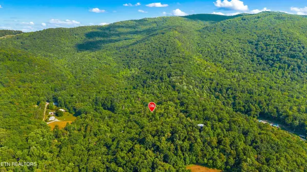 1549 Halls Top Rd, Newport, TN 37821