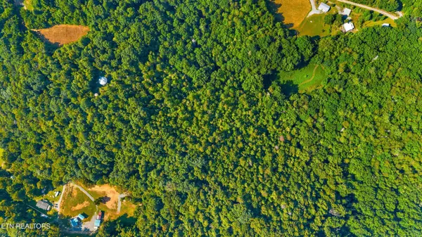 1549 Halls Top Rd, Newport, TN 37821