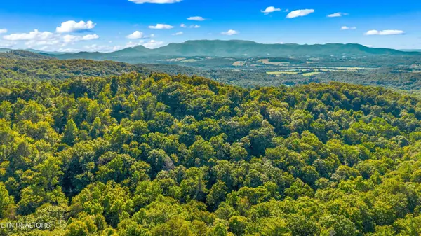 1549 Halls Top Rd, Newport, TN 37821