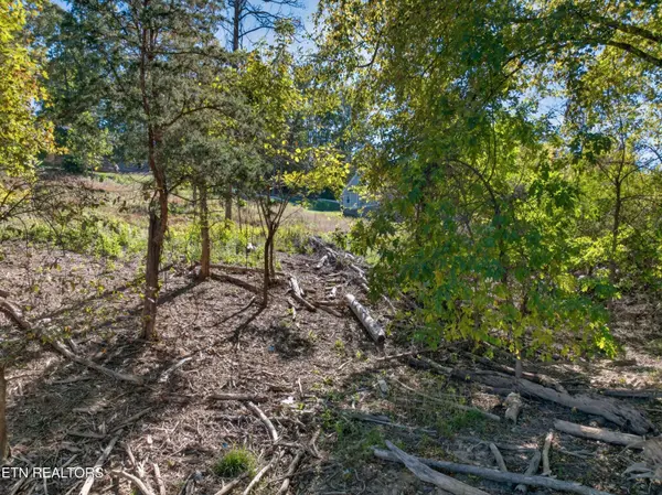 1945 Lakewood DR, Morristown, TN 37814