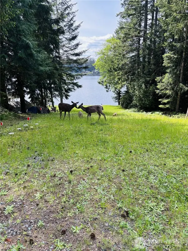 1130 E Timberlake DR, Shelton, WA 98584