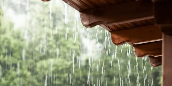 Rain, Rain, Go Away: How to Protect Your Home During a Wet Summer