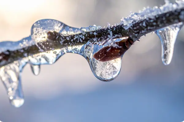 Can We Thaw Out Already?,Matt Thomas