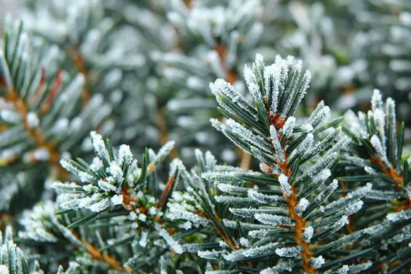 Could the Market be Set Up for a Pent-up Demand Surge?,Matt Thomas