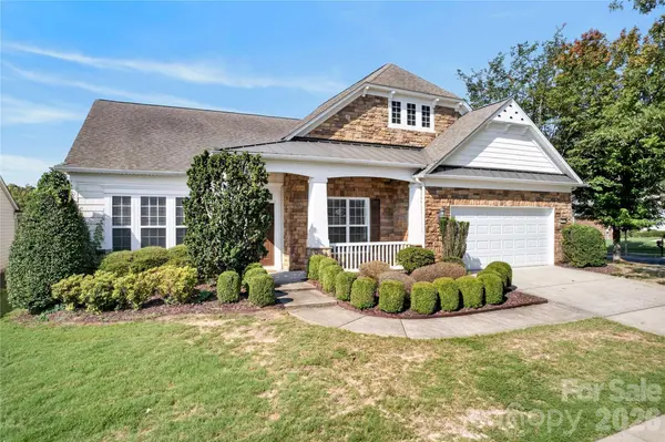 50008 Tulip CT