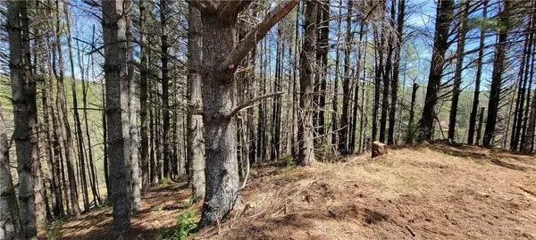 TBD (Lots 25/26/27) Miriam WAY, Piney Creek, NC 28663