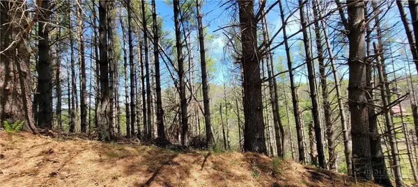 TBD (Lots 25/26/27) Miriam WAY, Piney Creek, NC 28663