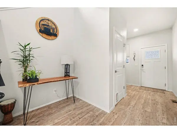 2956 Biplane, Fort Collins, CO 80524