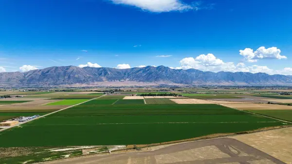 7220 W CROPLEY RD, Elwood, UT 84337