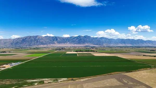 7220 W CROPLEY RD, Elwood, UT 84337