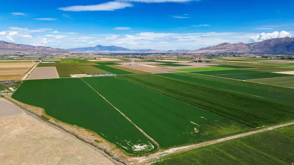 7220 W CROPLEY RD, Elwood, UT 84337