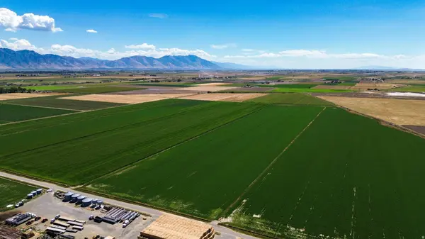 7220 W CROPLEY RD, Elwood, UT 84337