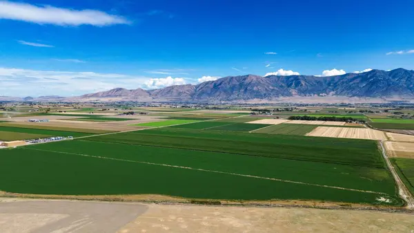 7220 W CROPLEY RD, Elwood, UT 84337