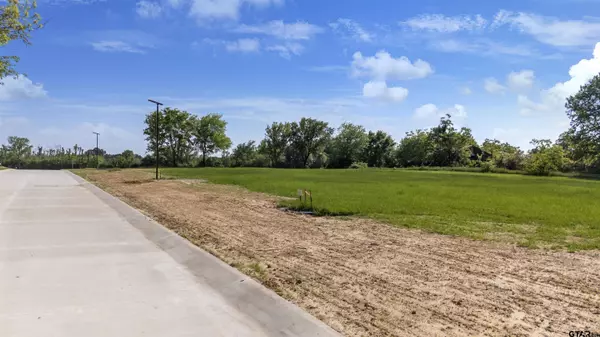 210 E Teal Drive, Troup, TX 75789