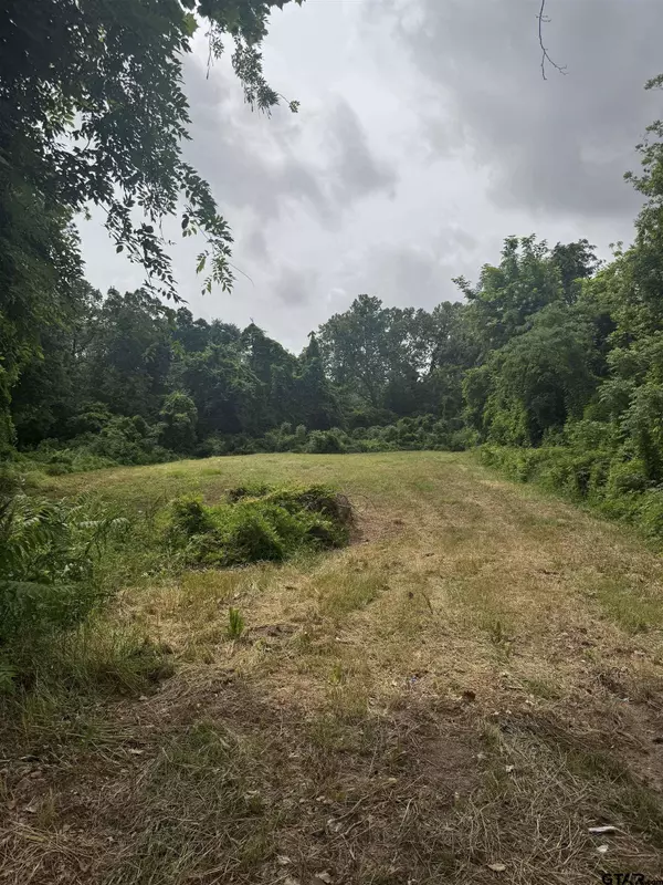 510 W Martin Luther King Jr Boulevard, Tyler, TX 75702