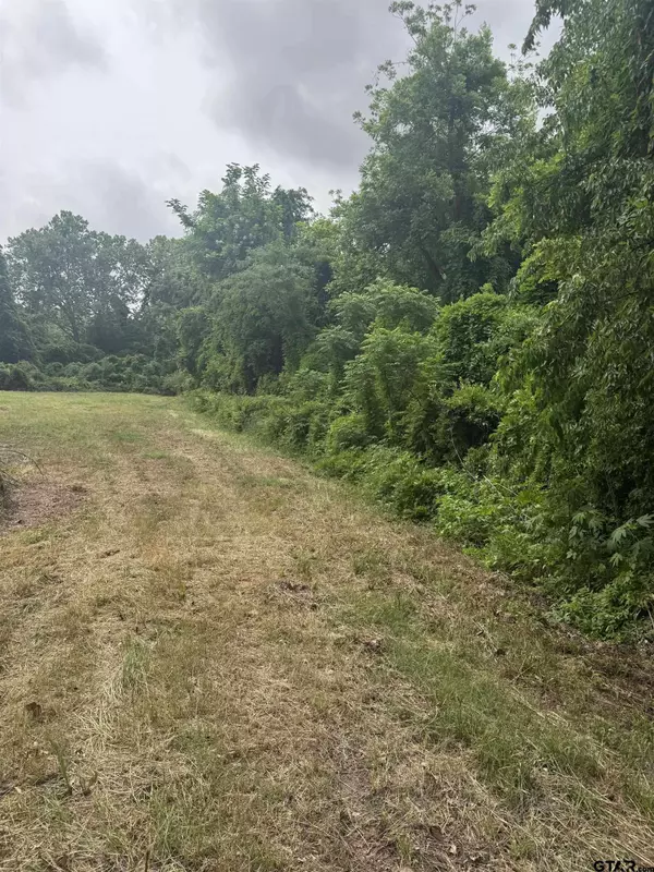 510 W Martin Luther King Jr Boulevard, Tyler, TX 75702