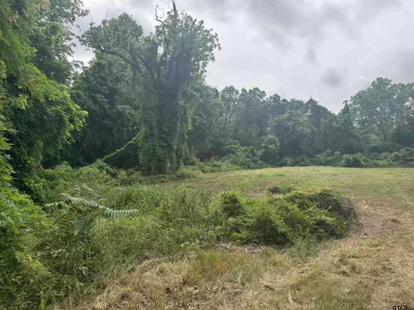 510 W Martin Luther King Jr Boulevard, Tyler, TX 75702