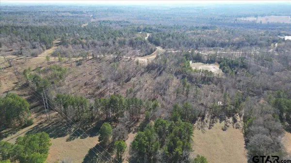 00 County Road 4913, Troup, TX 75789