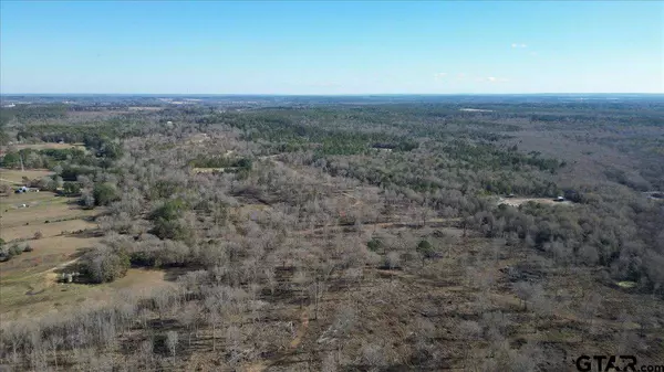 00 County Road 4913, Troup, TX 75789