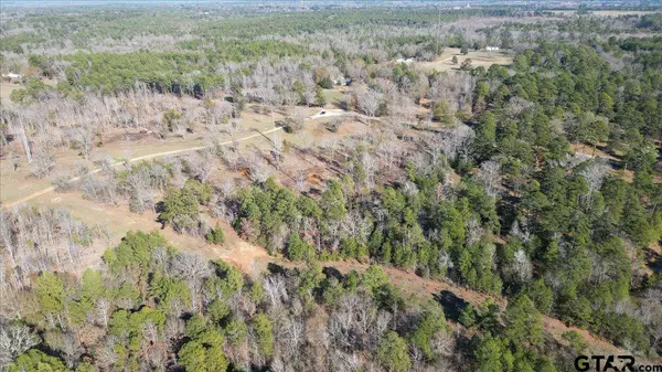 00 County Road 4913, Troup, TX 75789