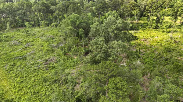 TBD County Road 4135, Overton, TX 75684