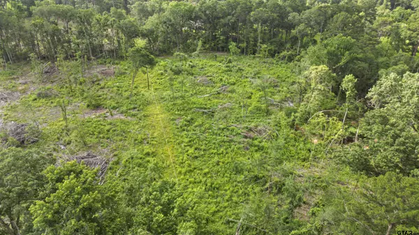 TBD County Road 4135, Overton, TX 75684