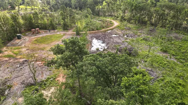 TBD County Road 4135, Overton, TX 75684