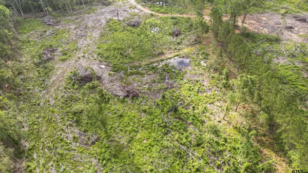 TBD County Road 4135, Overton, TX 75684