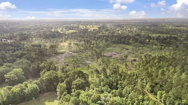 TBD County Road 4135, Overton, TX 75684