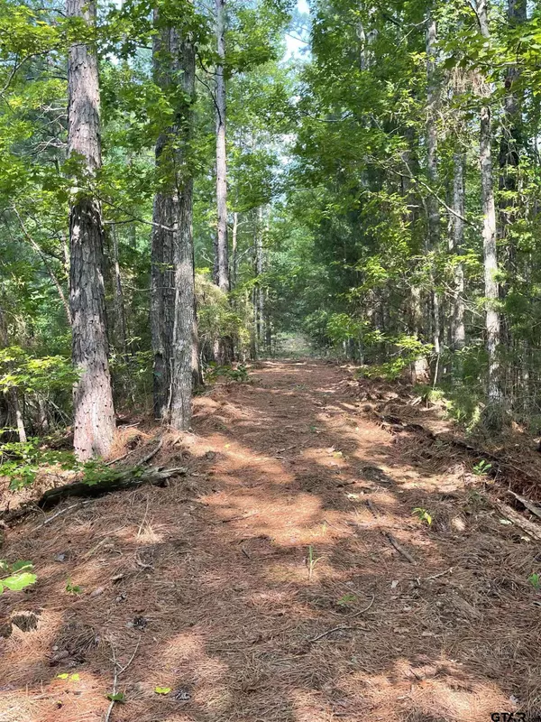 TBD County Road 4559, Winnsboro, TX 75494