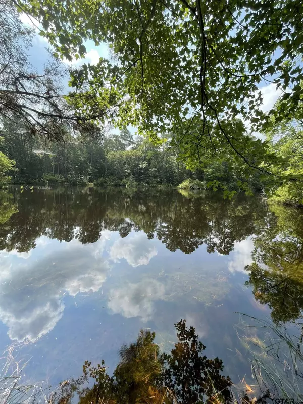 TBD County Road 4559, Winnsboro, TX 75494