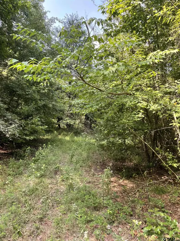TBD County Road 4559, Winnsboro, TX 75494