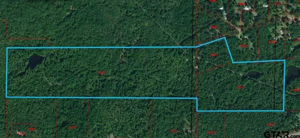 TBD County Road 4559, Winnsboro, TX 75494