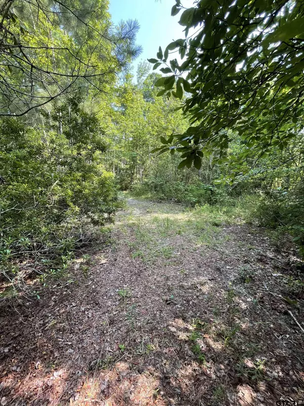 TBD County Road 4559, Winnsboro, TX 75494