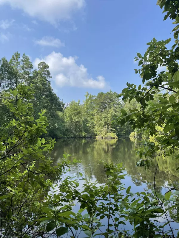 TBD County Road 4559, Winnsboro, TX 75494