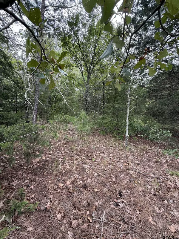 TBD County Road 4620, Troup, TX 75789