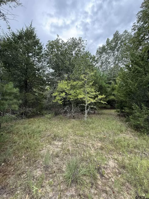 TBD County Road 4620, Troup, TX 75789