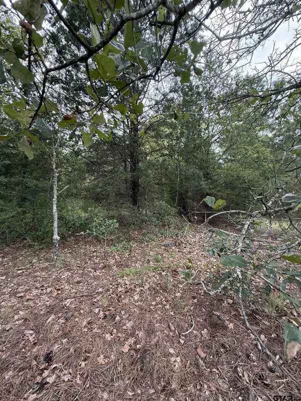 TBD County Road 4620, Troup, TX 75789