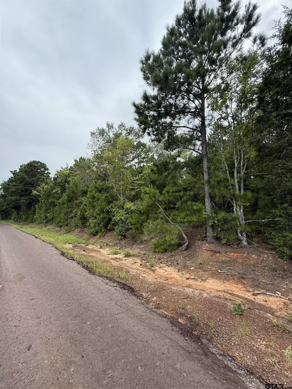 TBD County Road 4620, Troup, TX 75789