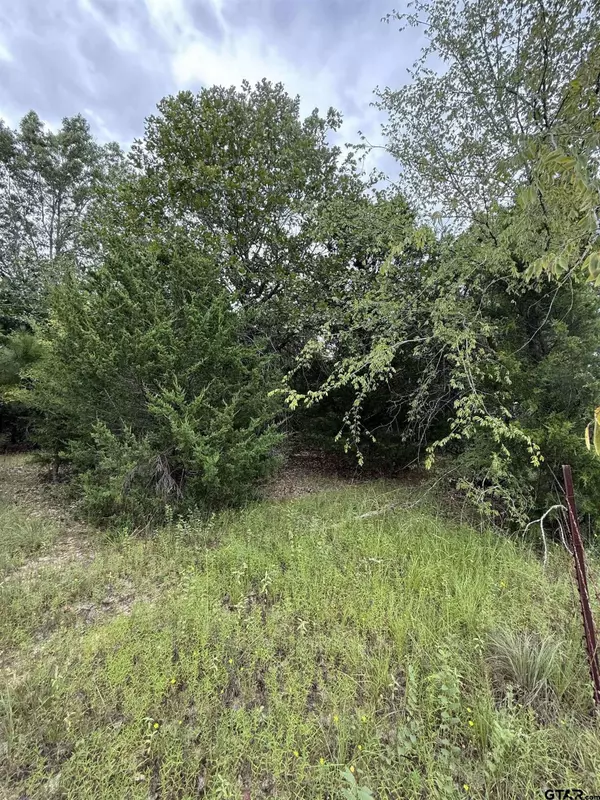 TBD County Road 4620, Troup, TX 75789