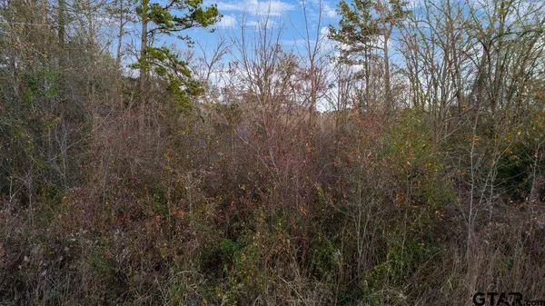 14871 Highway 110, Whitehouse, TX 75791