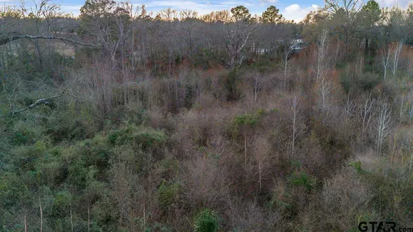 14871 Highway 110, Whitehouse, TX 75791