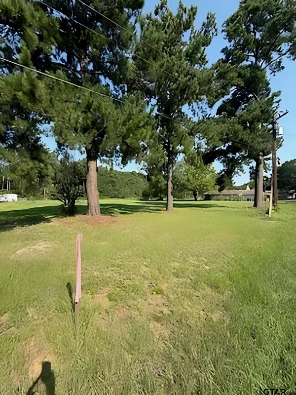 405 Joy Street, Troup, TX 75789