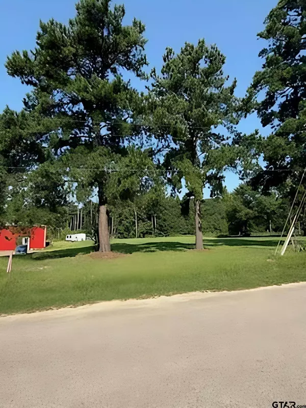 405 Joy Street, Troup, TX 75789