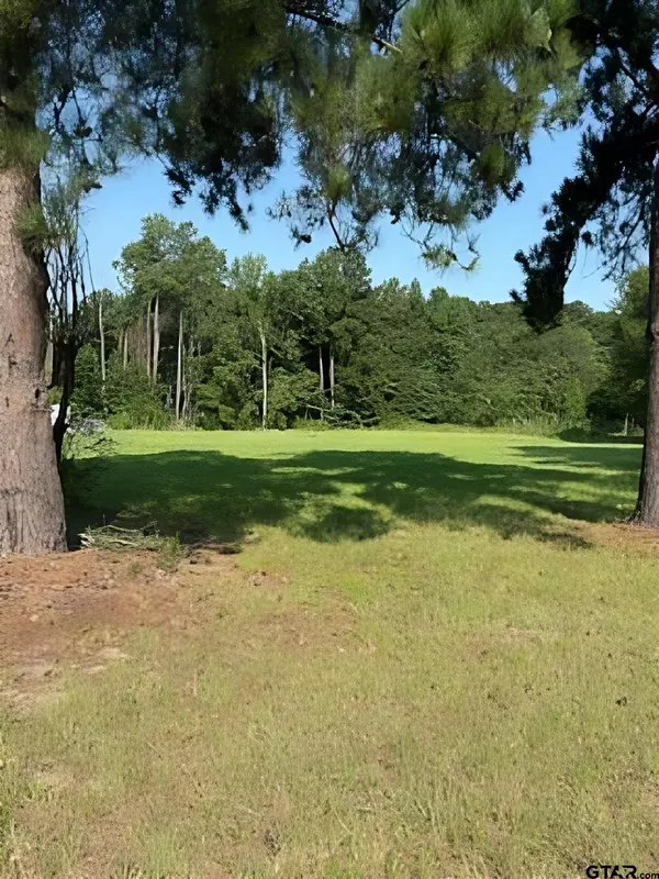 405 Joy Street, Troup, TX 75789