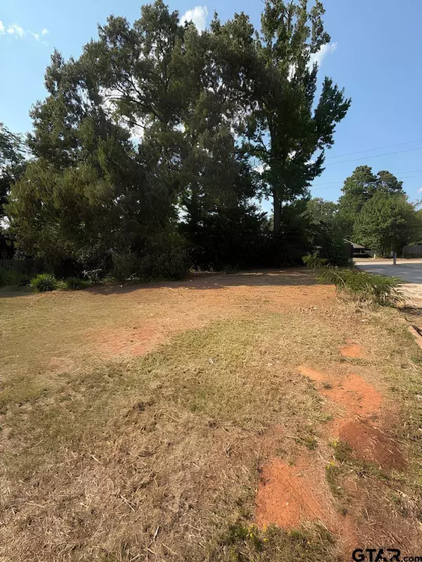 401 Tara Lane, Troup, TX 75789