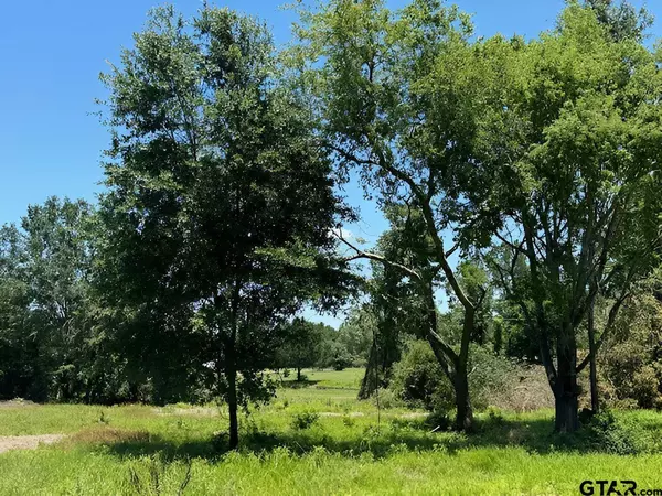 17846 E Farm to Market 346, Troup, TX 75789